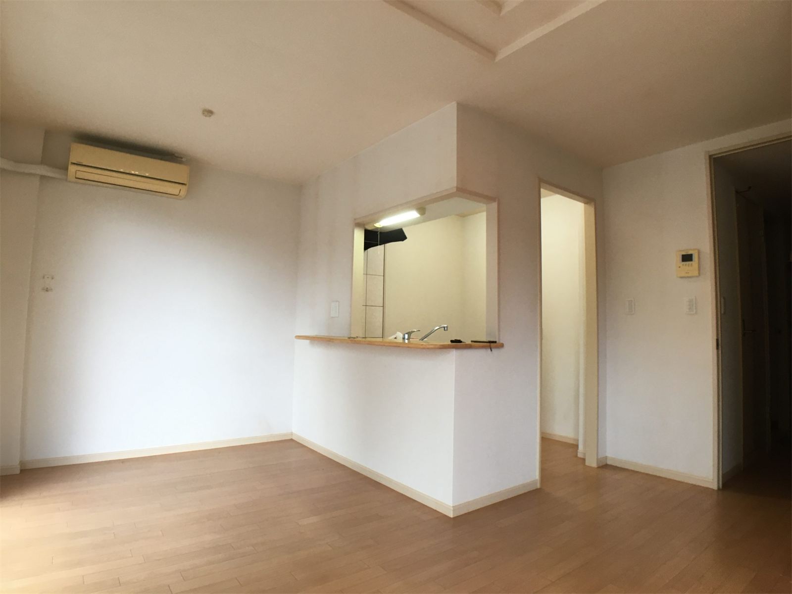 鹿屋市 新生町の賃貸（1LDK） 施工前：リビング