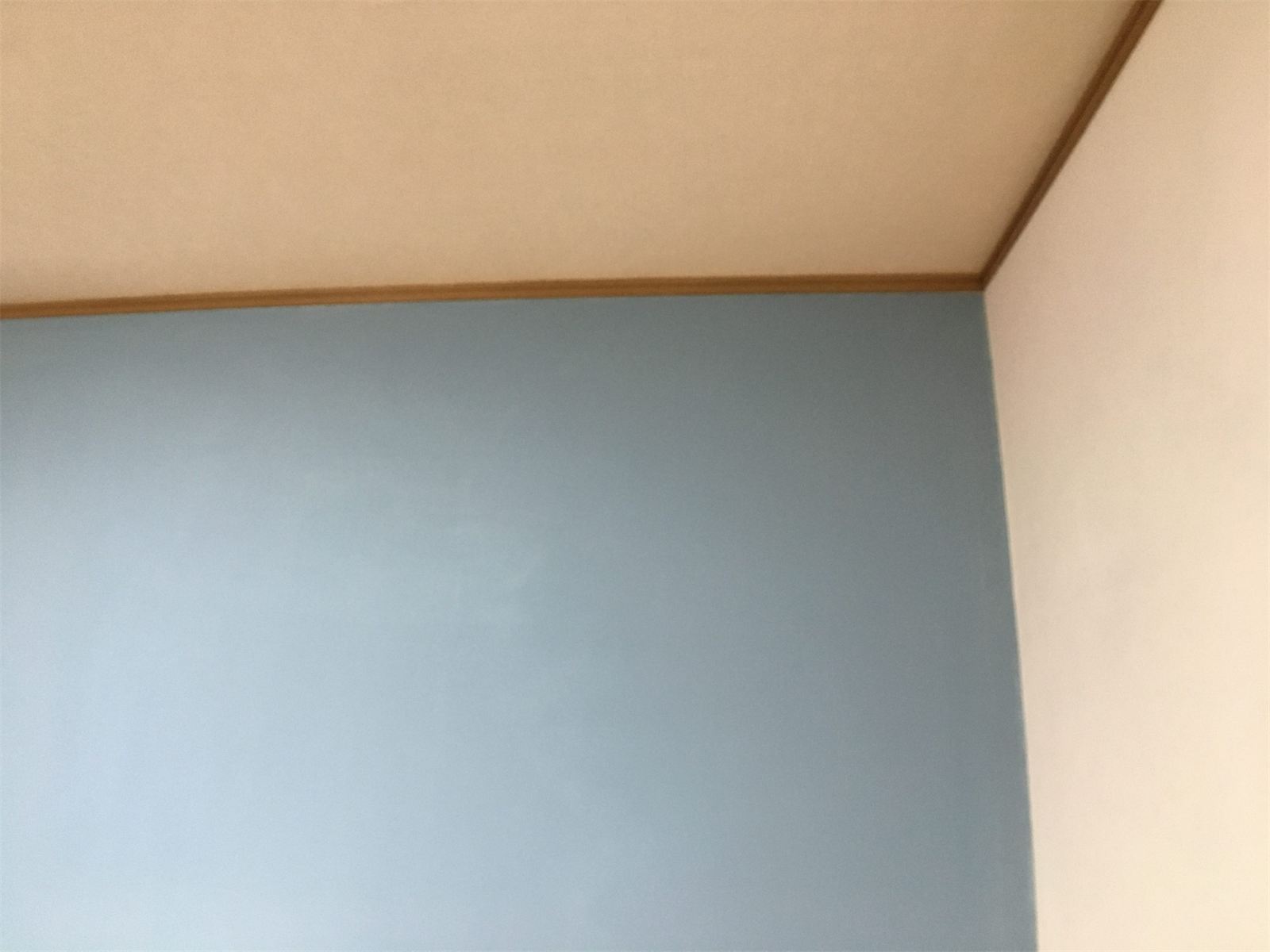 霧島市 国分野口西の賃貸アパート 施工後:デザイン